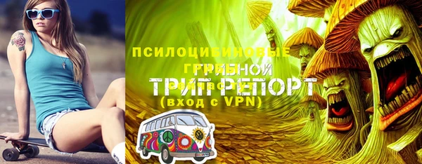 мдма Богородицк