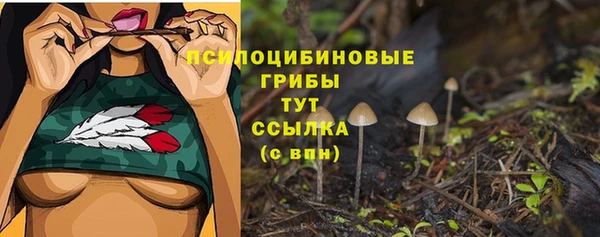 мдма Богородицк
