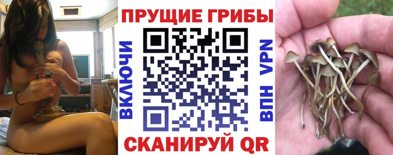 где купить наркотик Ачхой-Мартан Галлюциногенные грибы мицелий